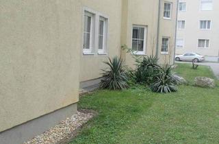 Wohnung mieten in Hanuschstraße, 2460 Bruck an der Leitha, Schöne 1-Zimmer Wohnung im EG in Bruck an der Leitha