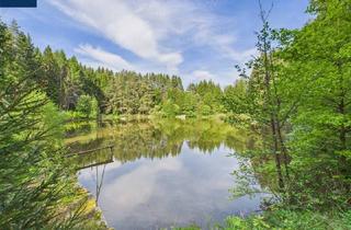 Gewerbeimmobilie kaufen in 3860 Heidenreichstein, NATURJUWEL WALDVIERTEL - Professionelle Waldteichanlage 4,3 ha