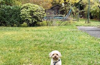 Haus kaufen in Klinik Hietzing, 1130 Wien, Nähe Klinik Hietzing - seltenes Altbaujuwel - Ausbaupotenzial - absolute Grünruhelage