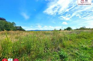 Grundstück zu kaufen in 2700 Wiener Neustadt, Großzügiges Grundstück in Grünlage am Stadtrand für IHR neues Bauprojekt
