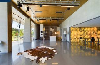 Büro zu mieten in 3910 Zwettl-Niederösterreich, EXCLUSIVE Büroflächen mit 741 m² - Großglobnitz bei ZWETTL im Waldviertel