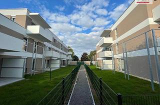Genossenschaftswohnung in Höfleiner Straße 12-14, 2460 Bruck an der Leitha, Letzte Gartenwohnungen / Klein aber fein...