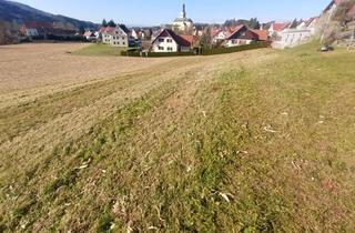 Grundstück zu kaufen in 8463 Leutschach an der Weinstraße, Sonniges Traumgrundstück mit Weitblick und viel Potenzial in Leutschach a.d. Weinstraße