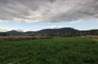 Grundstück zu kaufen in 9020 Klagenfurt, Sonniges, ebenes Baugrundstück in Hörtendorf 112/19 ohne Bebauungsverpflichtung