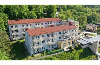 Wohnung mieten in 2754 Waldegg, schöne 2-Zimmer-Wohnung für SENIOREN mit großzügigen Balkon in Waldegg - Top 06