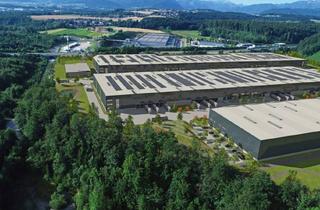 Lager mieten in Ohlsdorf (Ort), 4694 Ohlsdorf / Ehrendorf, VGP Park Ehrenfeld | anmietbar bis zu ca. 40.000 m²