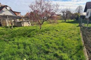 Grundstück zu kaufen in 8055 Graz, Ruhiges, zentrales, sonniges Baugrundstück in Puntigam