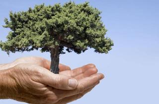 Grundstück zu kaufen in 6020 Hötting, Waldgrundstück in attraktiver Lage am Siedlungsrand