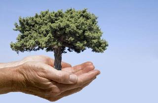 Grundstück zu kaufen in 6020 Hötting, Waldgrundstück in attraktiver Lage am Siedlungsrand