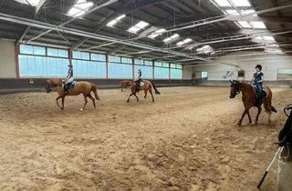 Gewerbeimmobilie kaufen in Rheinauweg 65, 6973 Höchst, Reithalle / Pferdeboxen und ca. 4.500m² Grund