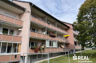 Wohnung kaufen in 4190 Bad Leonfelden, Eigentumswohnung in Bad Leonfelden