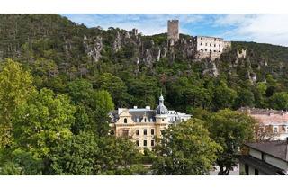 Loft kaufen in 2500 Baden, Historische charmante Altbau-Villa mit 3 DG-Einheiten inkl. Dachterrassen I 2012 Generalsanierung inkl. Lift I Grünlage