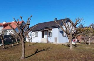 Haus mieten in 7540 Güssing, Zentral gelegenes Miethaus in Güssing