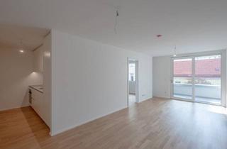 Wohnung mieten in Mariahilfer Straße 10, 1060 Wien, ++MOLLARD 50++ Modern 2-Room Apartment in the Heart of the City (1/10)