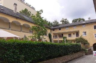 Wohnung mieten in 4840 Vöcklabruck, Traumhafte Singlewohnung am Stadtplatz Arkadenhof