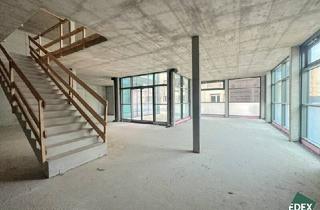 Geschäftslokal mieten in Bertha-Von-Suttner-Gasse, 1220 Wien, Hohe Flexibilität für Ihr Unternehmen – Geschäftsfläche mit vielen Möglichkeiten