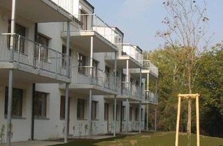 Maisonette kaufen in Mauritiusgasse, 3434 Katzelsdorf, Ihr neues Zuhause in Katzelsdorf – Traumhafte Maisonettewohnung in Katzelsdorf