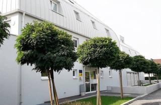Wohnung mieten in Kudlichstraße 54/3/1, 3100 Sankt Pölten, 2 Zimmer & Garten - Wohnzuschuss möglich