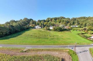 Grundstück zu kaufen in 8380 Jennersdorf, Jennersdorf: 11.536 m² großes Bau- und Freilandgrundstück am Fuße des Tafelbergs