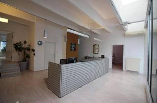 Büro zu mieten in Grieskai 76, 8020 Graz, GROSSZÜGIGE AUSSTELLUNGSFLÄCHE MIT STIL - IDEAL FÜR SHOWROOM; GALERIE ODER PRÄSENTATIONSFLÄCHE