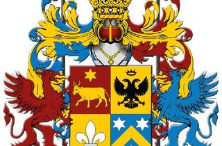 Haus kaufen in Hauptplatz, 2410 Hainburg an der Donau, Erstklassiges Anlageobjekt direkt im historischen Zentrum von Hainburg an der Donau