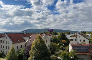 Wohnung kaufen in 2103 Langenzersdorf, Sonnige 1,5 Zimmerwohnung mit Loggia und KFZ Stellplatz