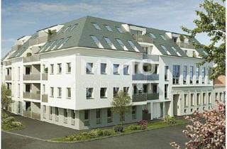 Wohnung mieten in Brünner Straße, 1210 Wien, Zweitbezug ! Nahe der Stammersdorfer Weingärten!Brünnerstraße 271
