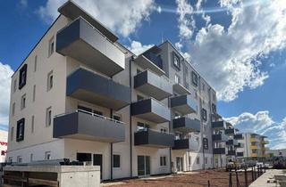 Wohnung mieten in Stadionstraße, 2700 Wiener Neustadt, ERSTBEZUG „ein viertel grün“ in Wiener Neustadt - großzügig angelegte 2 Zimmerwohnung mit Balkon