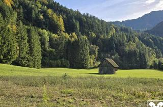 Grundstück zu kaufen in 9135 Ebriach, Grundstücke mit Zukunft - vielseitig nutzbare Wald- und Ackerflächen in idyllischer Lage von Bad Eisenkappel