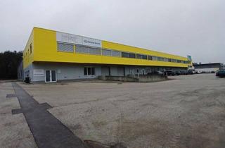 Lager mieten in Wirtschaftspark 14, 9130 Poggersdorf, Halle (342,68 m²) im DPB Business Park, Poggersdorf