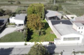 Grundstück zu kaufen in 3550 Langenlois, Ihr Baugrundstück in sonniger Lage von Langenlois -- ideale Basis für Ihr Traumhaus oder Bauprojekt