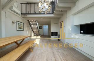 Wohnung mieten in 1070 Wien, Exklusive Dachterrassenwohnung beim Museumsquartier