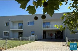 Wohnung mieten in Urbarialgasse WE 8, 7151 Wallern im Burgenland, Bezugsfertige Wohnung im Obergeschoß mit Loggia