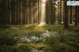 Grundstück zu kaufen in 6020 Innsbruck, Einzigartige Gelegenheit: Grundstück in Höttinger Exklusivlage