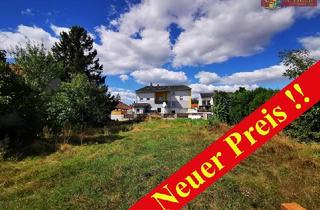 Grundstück zu kaufen in Kirchenfeldgasse, 2601 Sollenau, Ruhiges Grundstück mit fertiger Planung