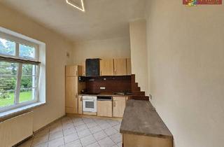 Wohnung mieten in Hauptallee, 2602 Blumau-Neurißhof, Große ruhige 3 Zimmer-Raucherwohnung