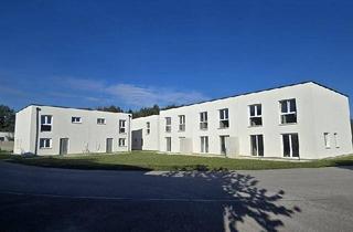 Haus kaufen in 3385 Prinzersdorf, MODERN, MASSIV UND HOCHWERTIG VOM BAUMEISTER