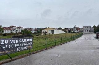 Gewerbeimmobilie kaufen in 7100 Neusiedl am See, Neusiedl am See - perfektes Gebäude für Ihr Gewerbe