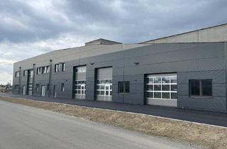 Büro zu mieten in 4052 Ansfelden, Gewerbe-/ Büro-/ Ordinations-/ Lagerflächen von 96 - 307 m² Fläche im Gewerbepark Ansfelden zu vermieten, Nähe A1 (Audorf Süd) (Top 14)