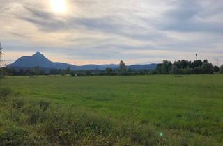 Grundstück zu kaufen in 5020 Salzburg, Sonniger Baugrund in Salzburg Leopoldskron