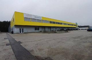 Gewerbeimmobilie mieten in Wirtschaftspark 14, 9130 Poggersdorf, Halle (342,68 m²) im DPB Business Park, Poggersdorf