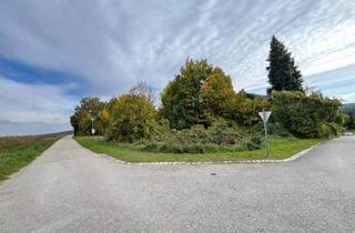 Grundstück zu kaufen in 2114 Hornsburg, Attraktives Baugrundstück in sonniger Lage