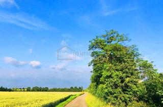 Gewerbeimmobilie kaufen in 2424 Zurndorf, Wertvolle landwirtschaftliche Nutzfläche