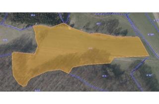 Gewerbeimmobilie kaufen in 1230 Wien, GRUNDSTÜCK IN KALKSBURG - LANDWIRTSCHAFTLICHE NUTZUNG