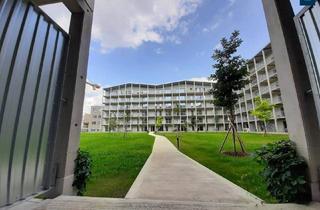 Wohnung mieten in Waagner-Biro-Straße 84-84b, 8020 Graz, Kompakte 2-Zimmer-Wohnung mit Terrasse: Genießen Sie Komfort Nähe Hauptbahnhof - Top 129