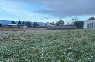 Grundstück zu kaufen in 3380 Pöchlarn, Voll aufgeschlossener Baugrund ohne Bauverpflichtung