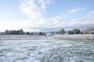Grundstück zu kaufen in 3380 Pöchlarn, Voll aufgeschlossener Baugrund ohne Bauverpflichtung