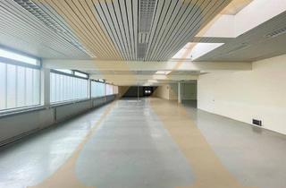 Gewerbeimmobilie mieten in 4061 Pasching, Ebenerdige Lagerfläche in Pasching zu vermieten!