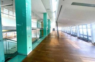 Büro zu mieten in Wipplinger Straße 34, 1010 Wien, Modernes Open Space Dachgeschossbüro mit großer Terrasse m Wiener Börsegebäude zu mieten