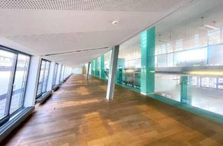 Büro zu mieten in Wipplinger Straße 34, 1010 Wien, Modernes Open Space Dachgeschossbüro mit großer Terrasse m Wiener Börsegebäude zu mieten